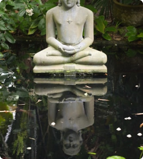 Reflexion